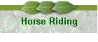 Horse Riding