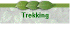 Trekking
