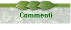 Commenti