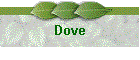 Dove